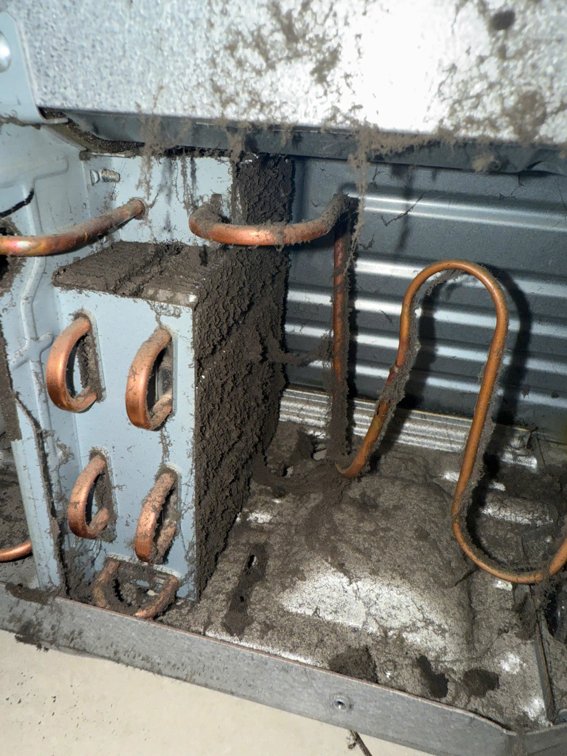 Bạn nên thường xuyên vệ sinh khu vực dàn nóng tủ lạnh hitachi để tủ lạnh được hoạt động bền bỉ và tốt nhất