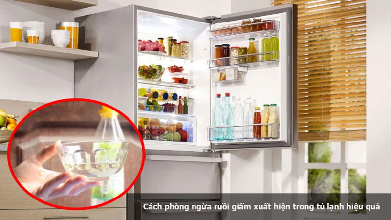 Cách phòng ngừa ruồi giấm xuất hiện trong tủ lạnh hiệu quả