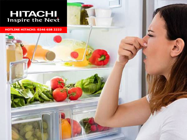 thực phẩm hư hỏng lên may bốc mùi khó chịu
