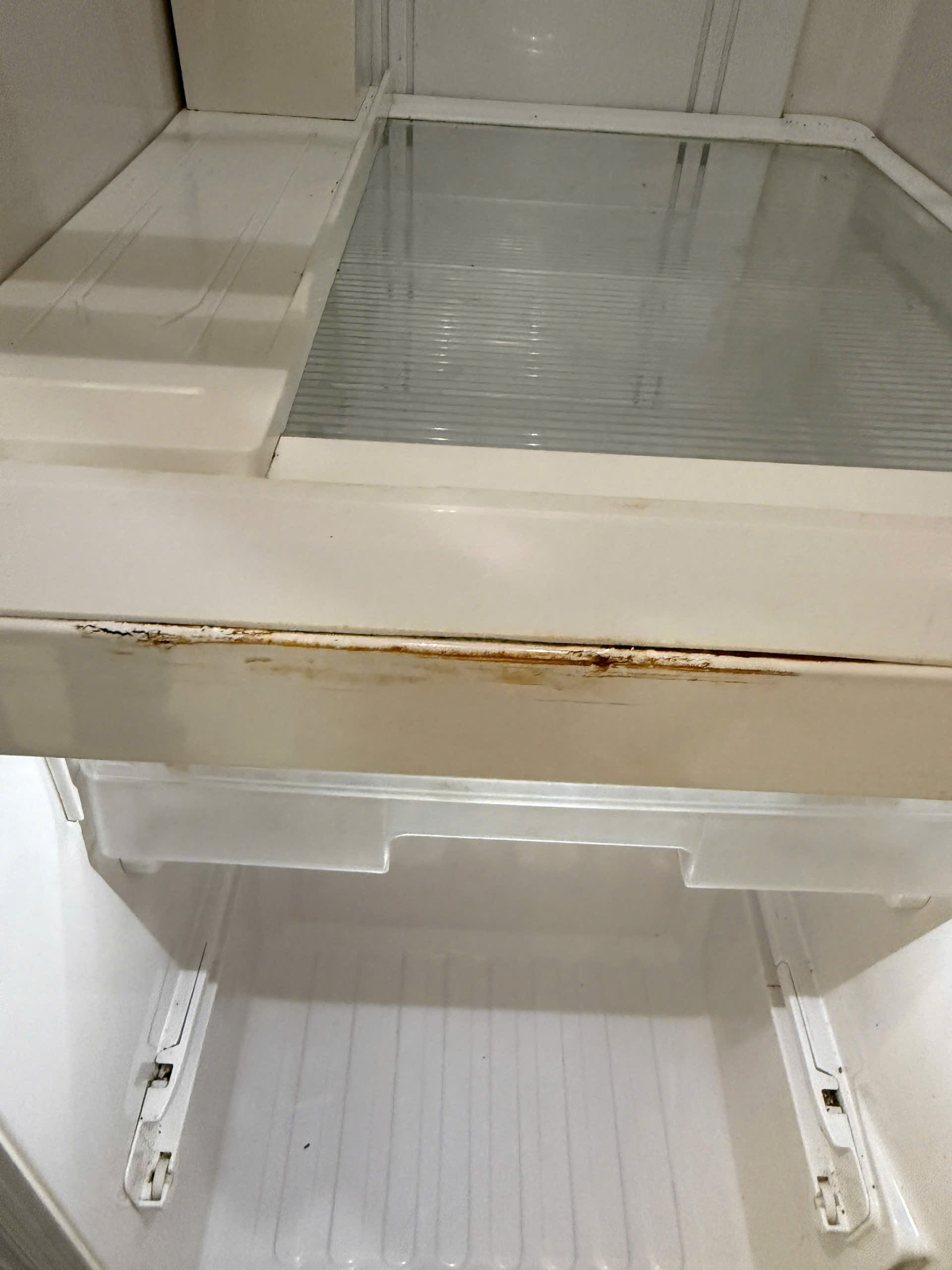 Sườn tủ phồng rộp rỉ sét quanh mép cánh tủ lạnh