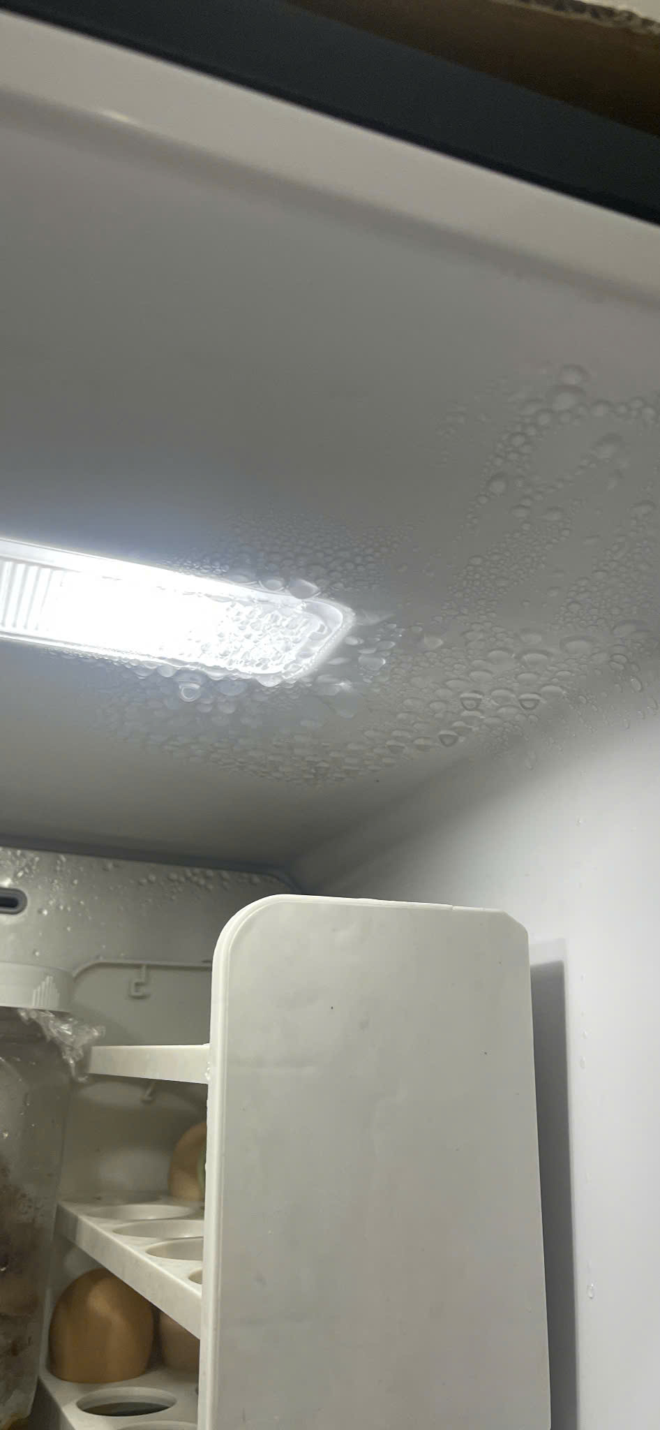 Tủ lạnh Hitachi đọng nước ngăn mát