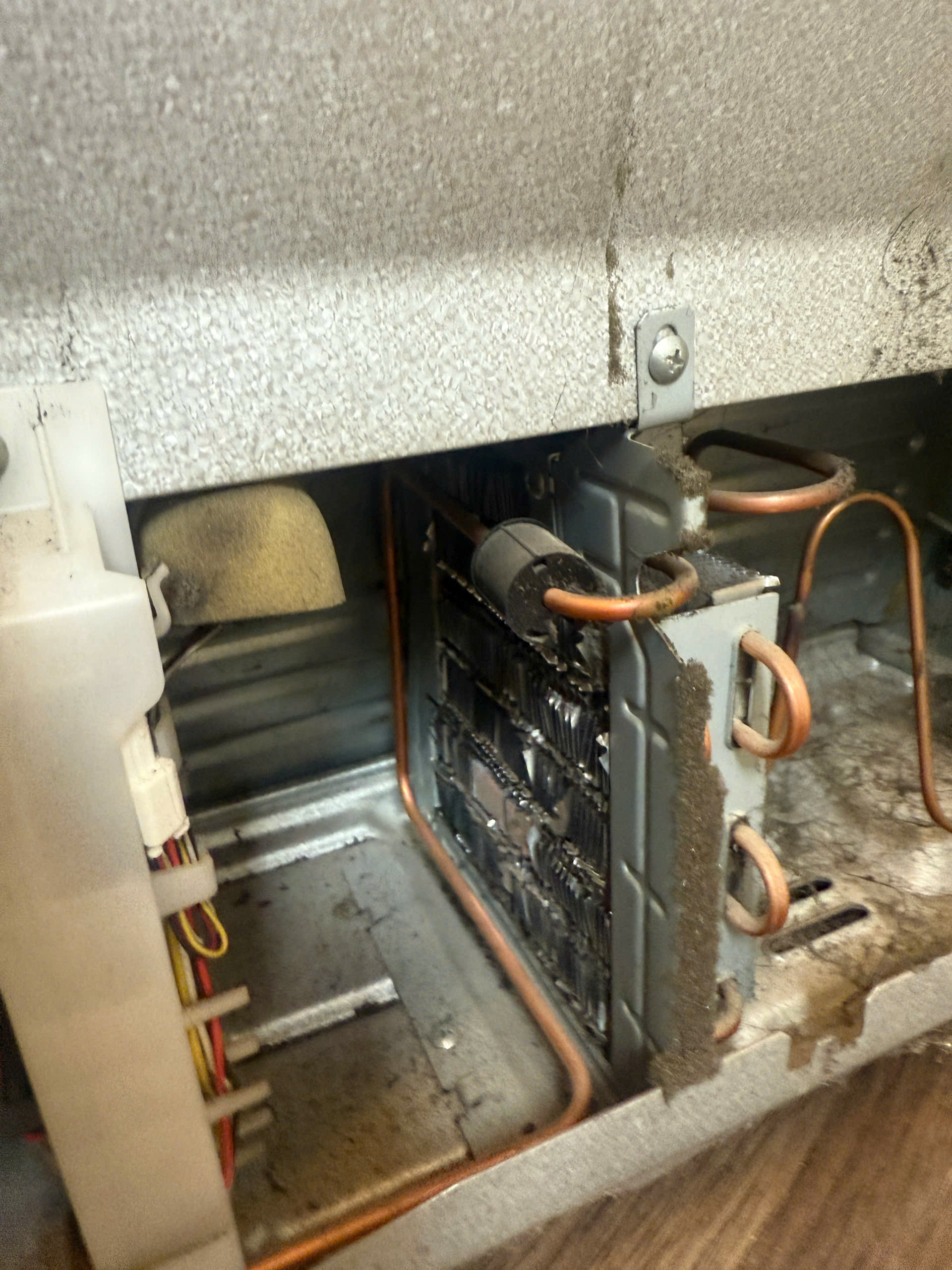 Hãy luôn vệ sinh định kỳ tủ lạnh Hitachi để giúp tủ hoạt động bền bỉ