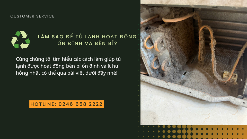 Cách vệ sinh tủ lạnh giúp tủ hoạt động bền bỉ