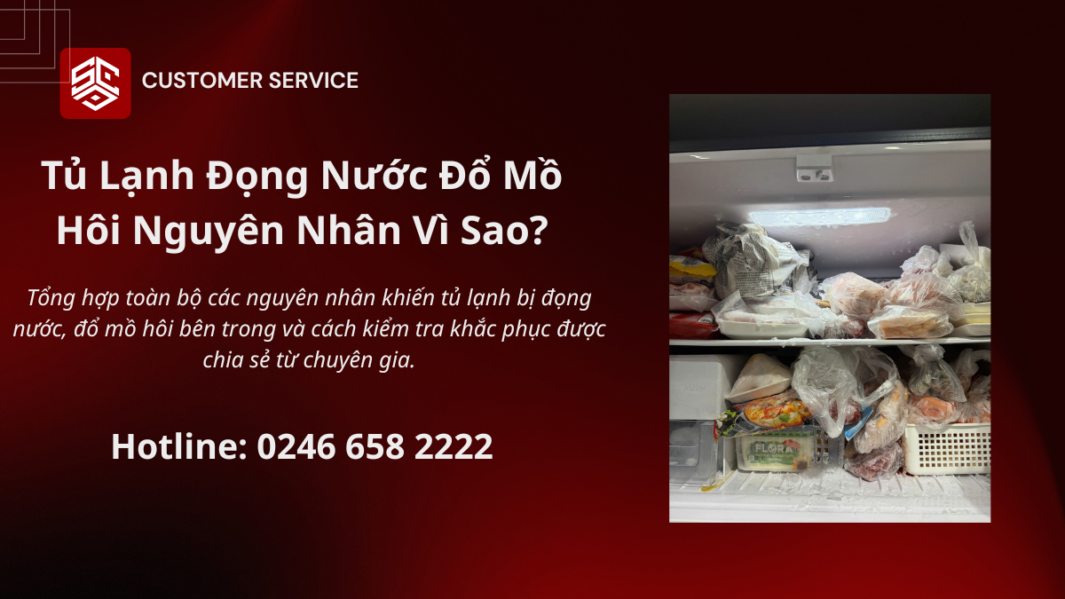 Cách sửa lỗi đọng nước đổ mồ hôi bên trong tủ lạnh